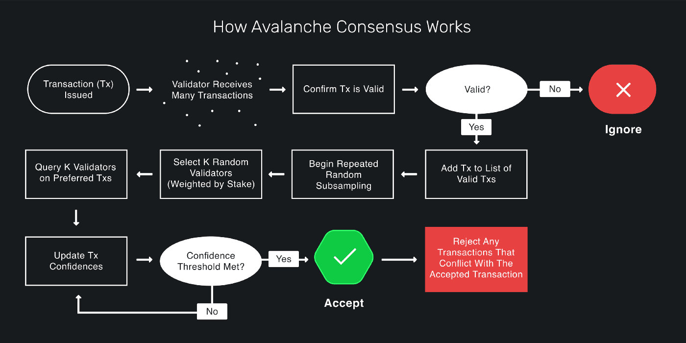 avalanche-consensus-schema
